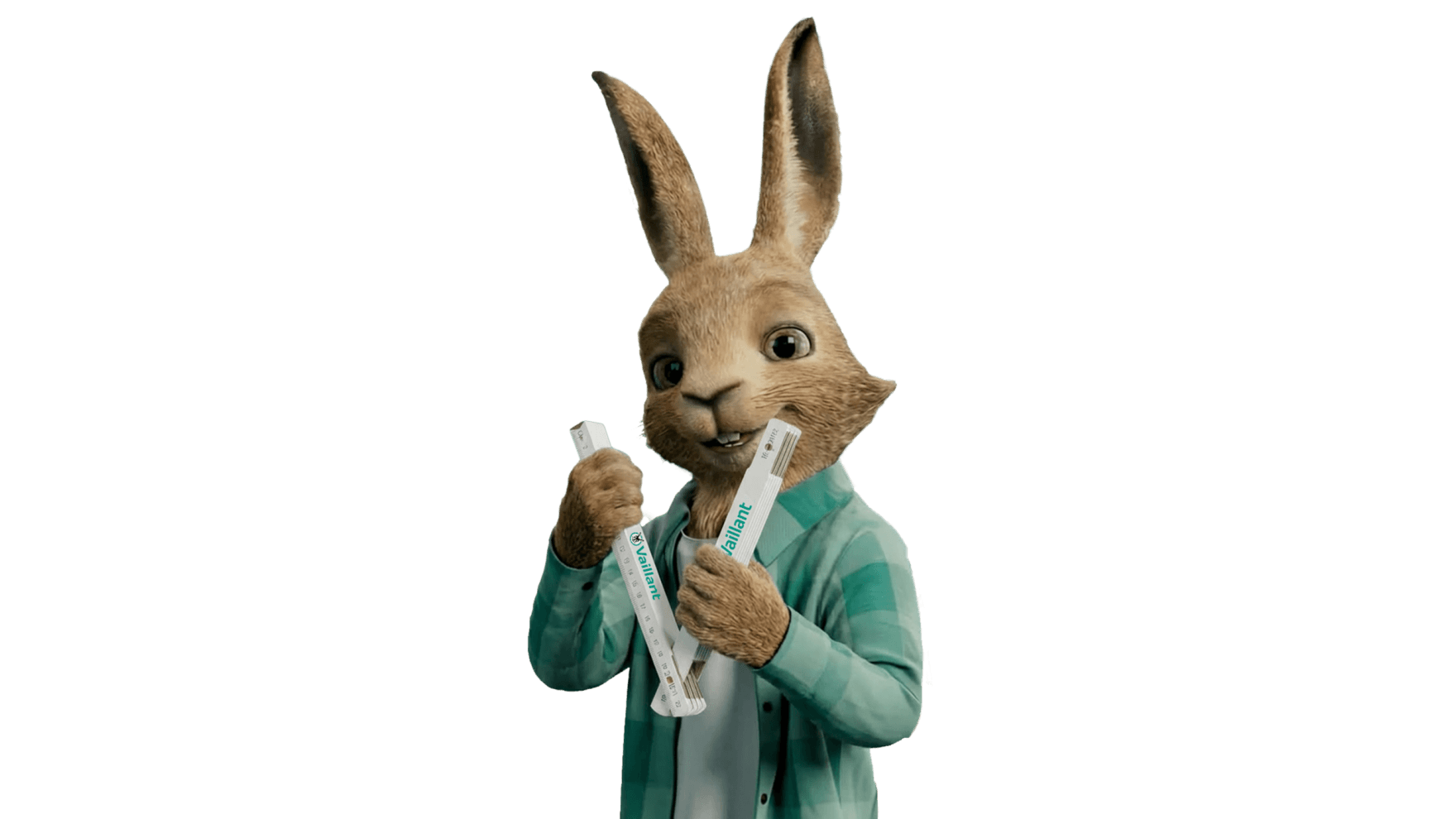 Vaillantov zec drži metar za sklapanje