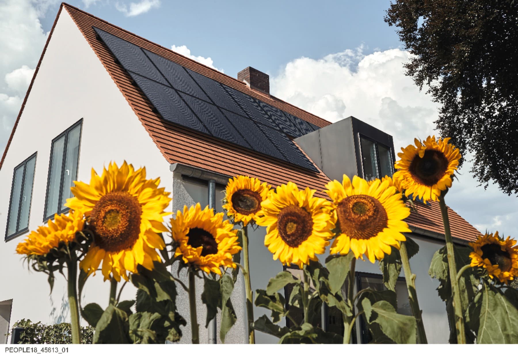 Kuća stoji iza velikih suncokreta. Na krovu su postavljeni solarni paneli koji koriste solarnu energiju za proizvodnju električne energije.